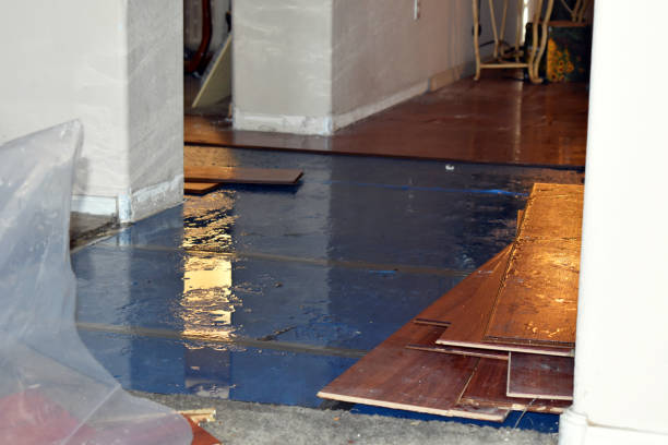 Professional Water Damage Restoration technician working in Flanders, NJ